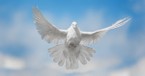 What Does it Mean to 'Grieve the Holy Spirit' (Ephesians 4:30)?