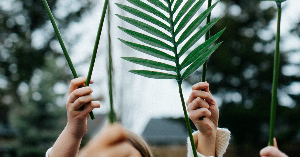 Waving palms